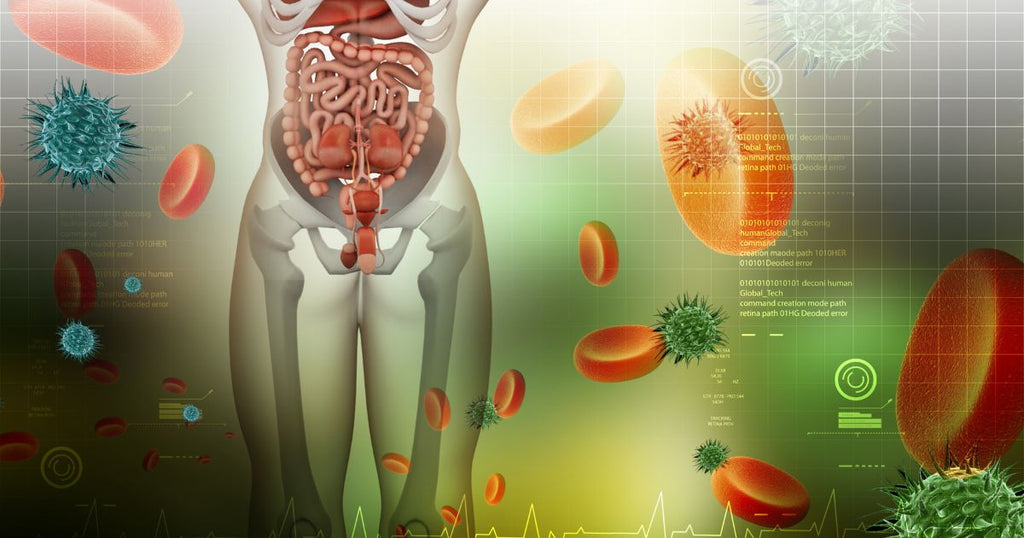 Nutritional Support for Detox